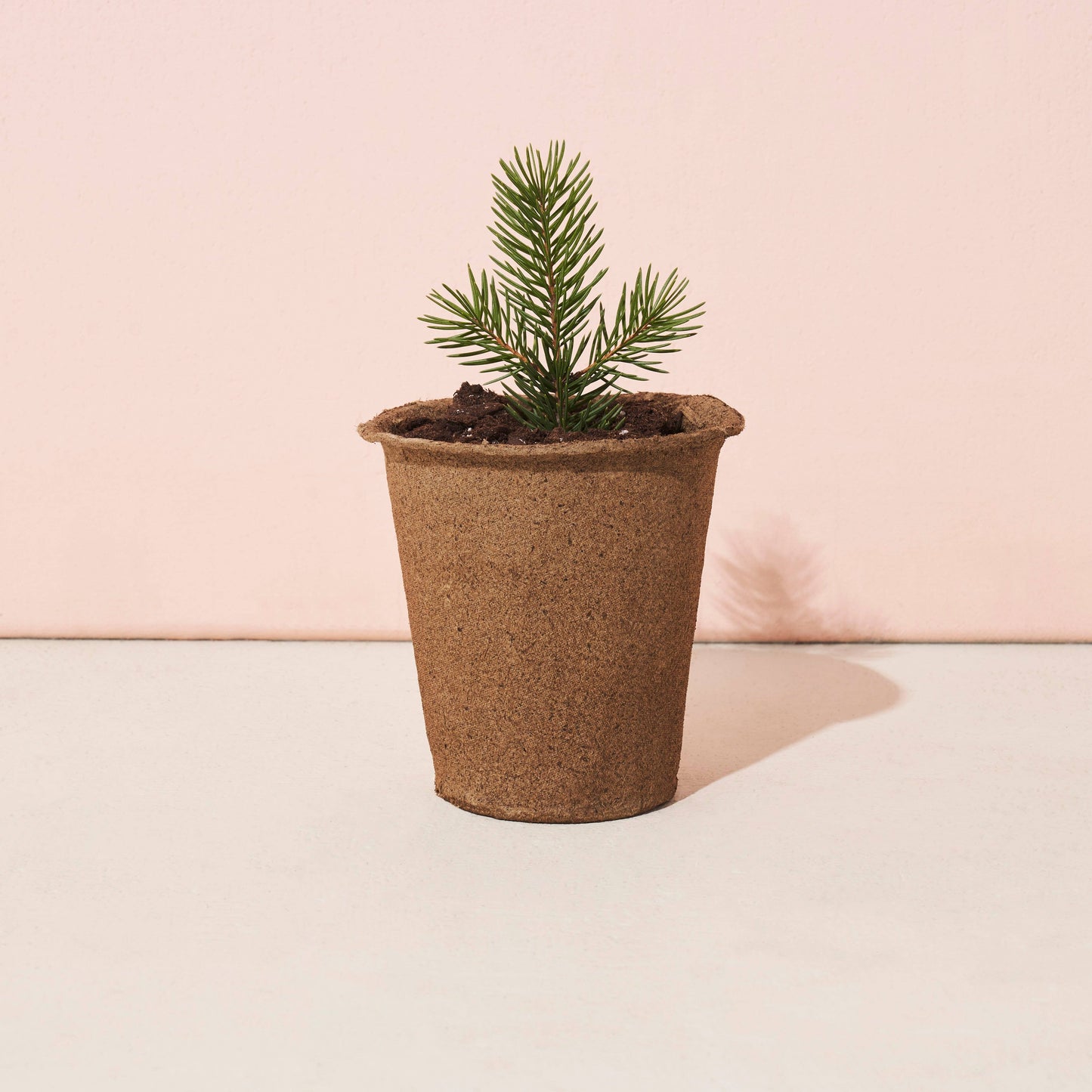 One-For One Tree Kit