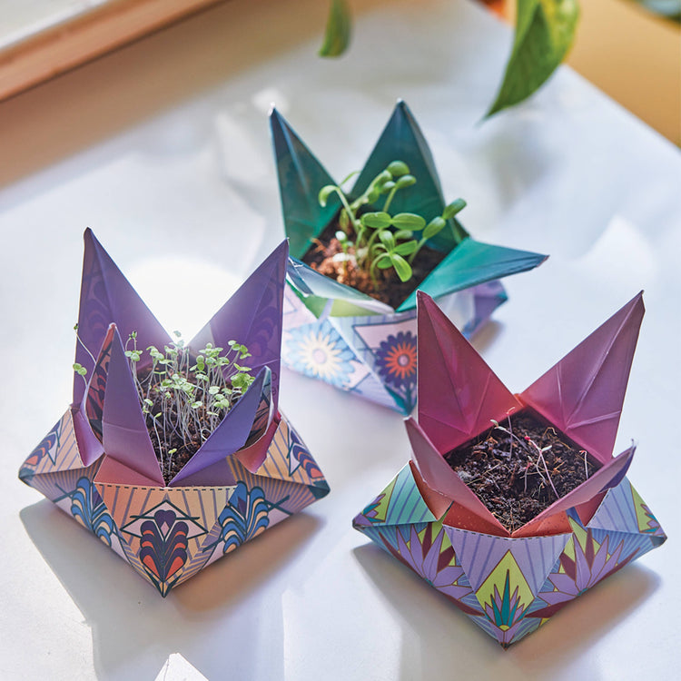 Plantable Stationery & Eco-Friendly Paper Gifts