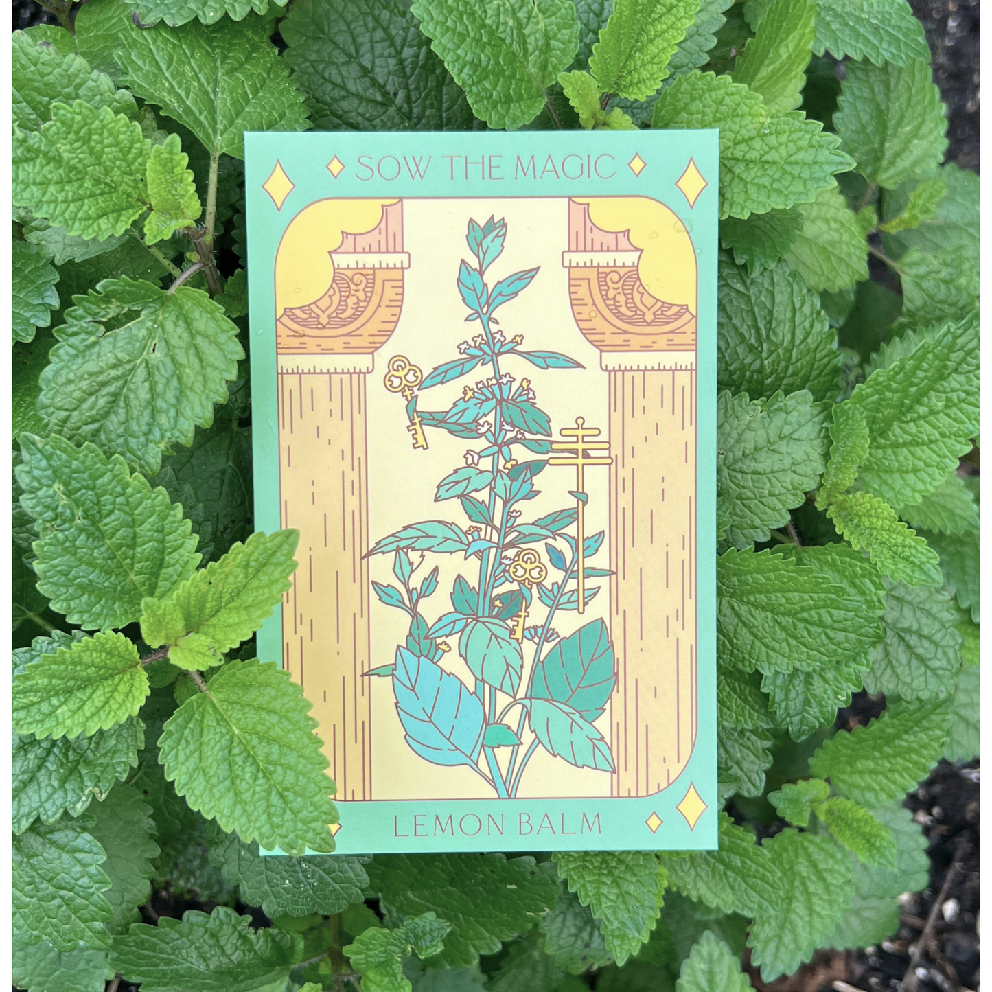 Lemon Balm Tarot Seed Packet