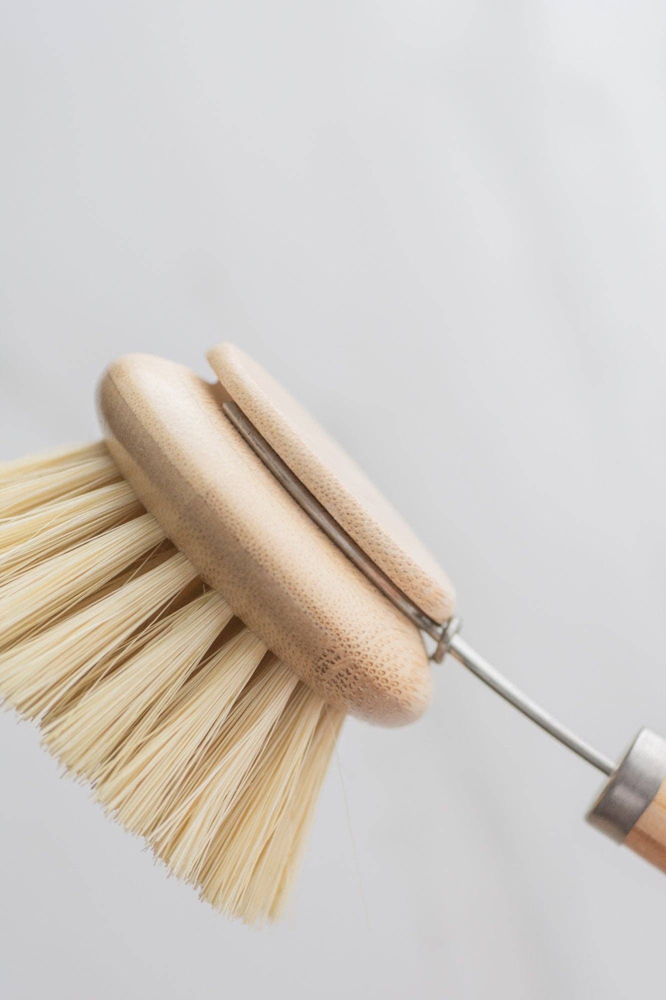 CASA AGAVE® Long Handle Dish Brush - No Tox Life